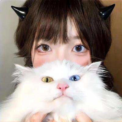 猫咪后院之家